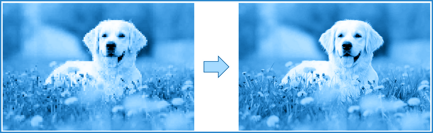 truedata-blog-image