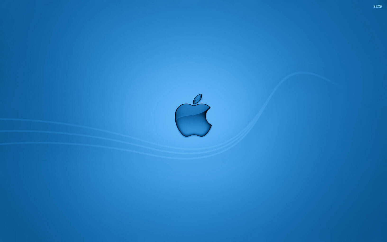truedata-blog-image